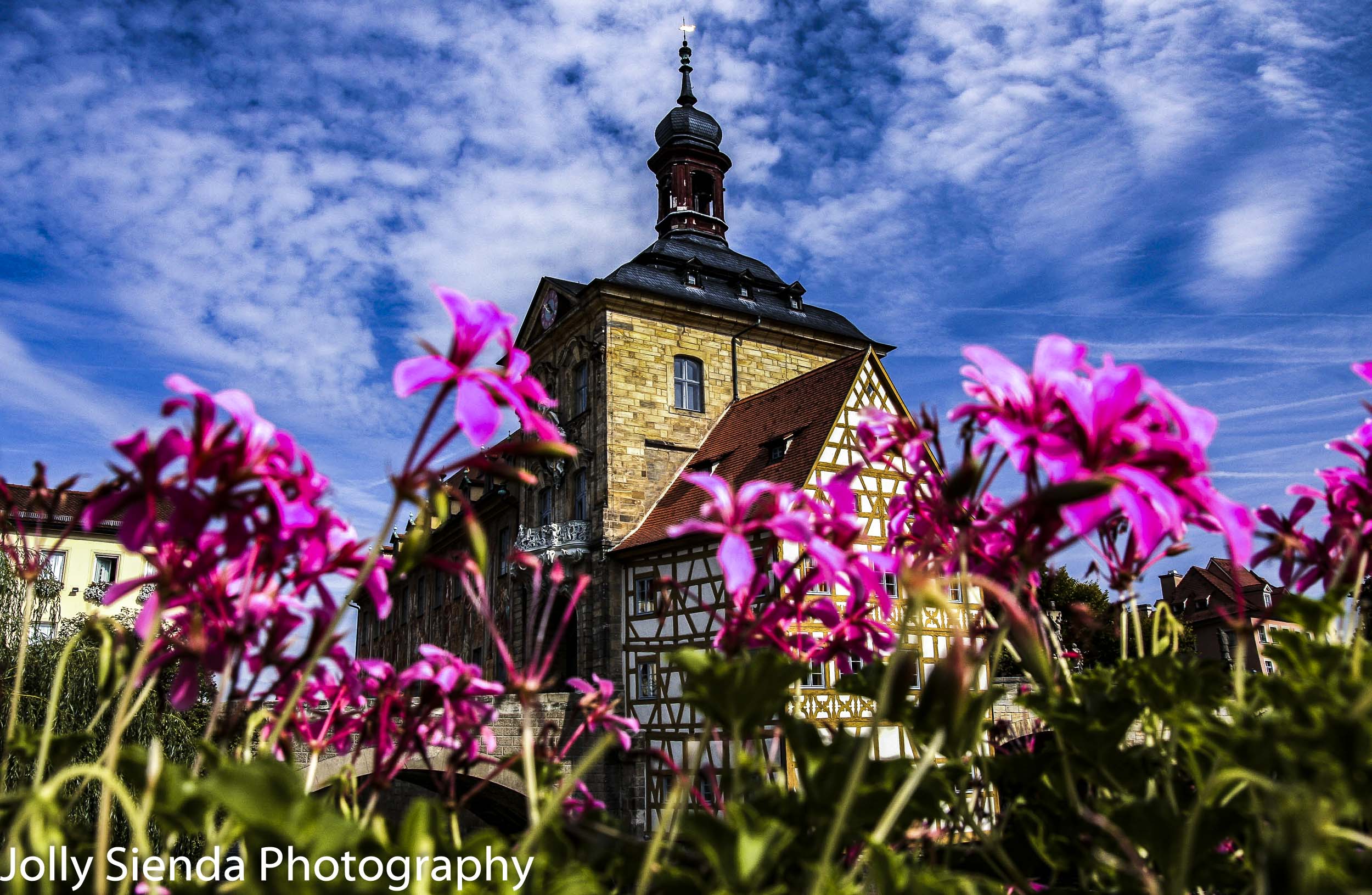 Bamberg's City Hall, Altes Rathaus, with pink flowers