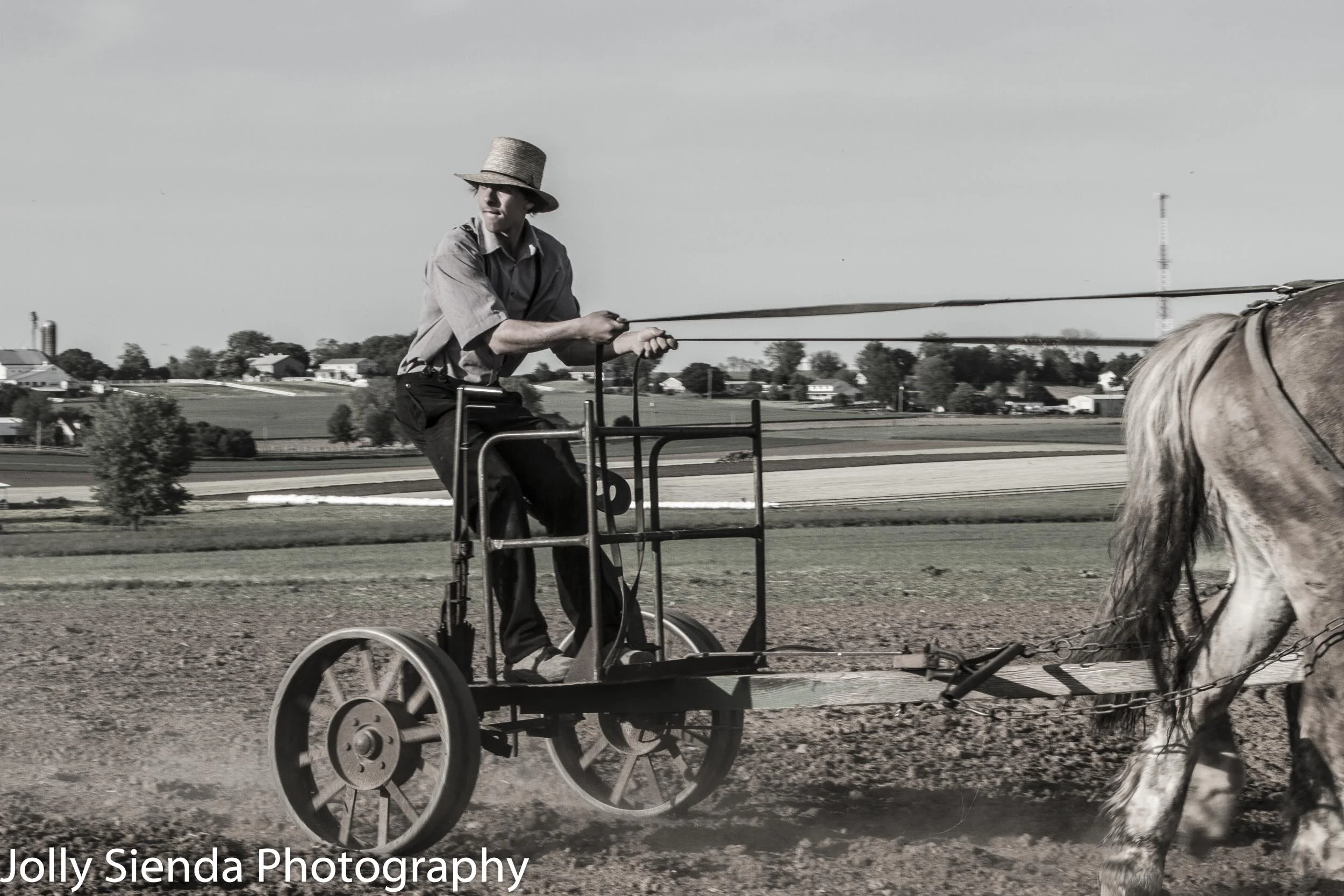 Portrait of a teenage Amish farmer with his horse and plow