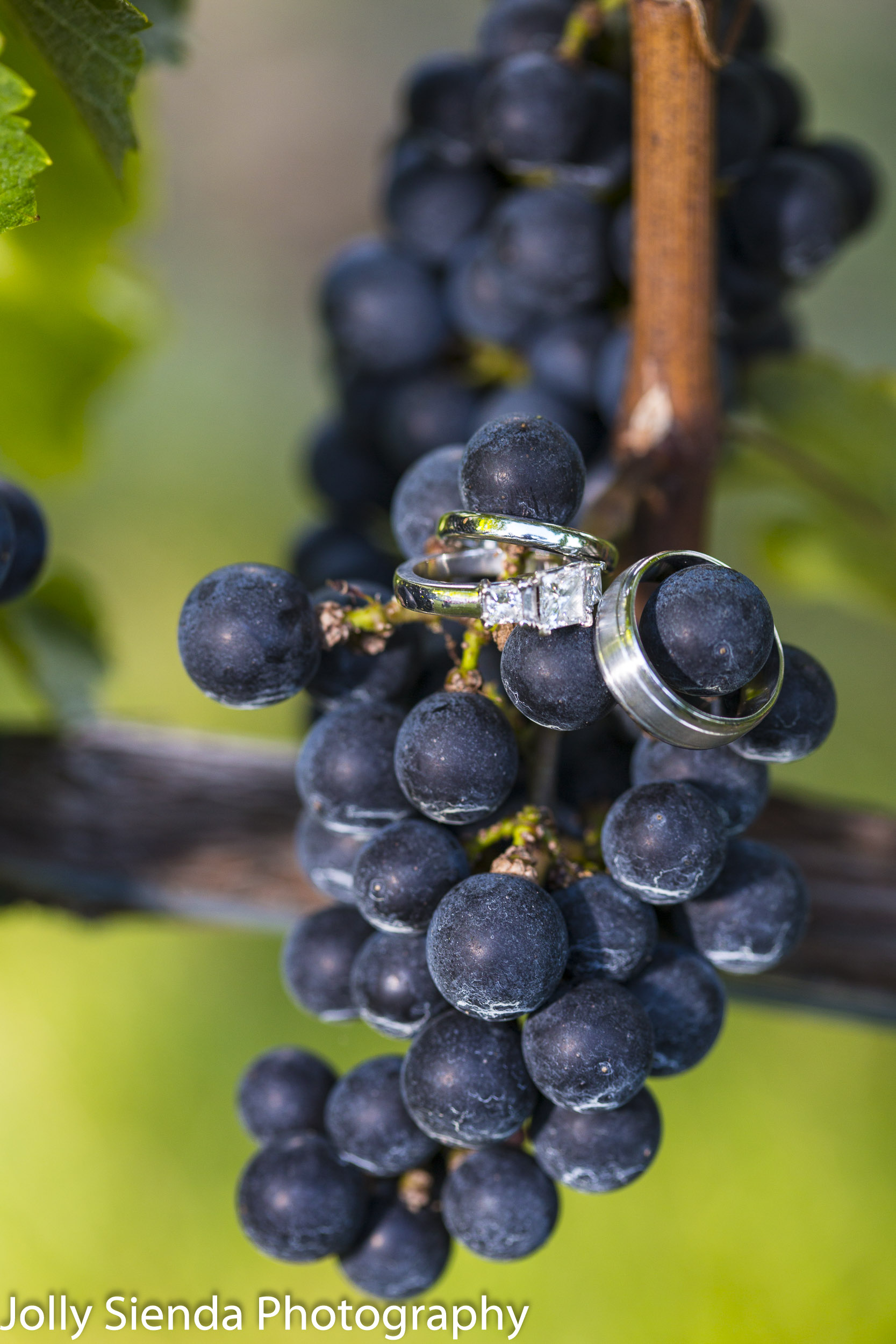 Weddings rings and grapes, vineyard wedding