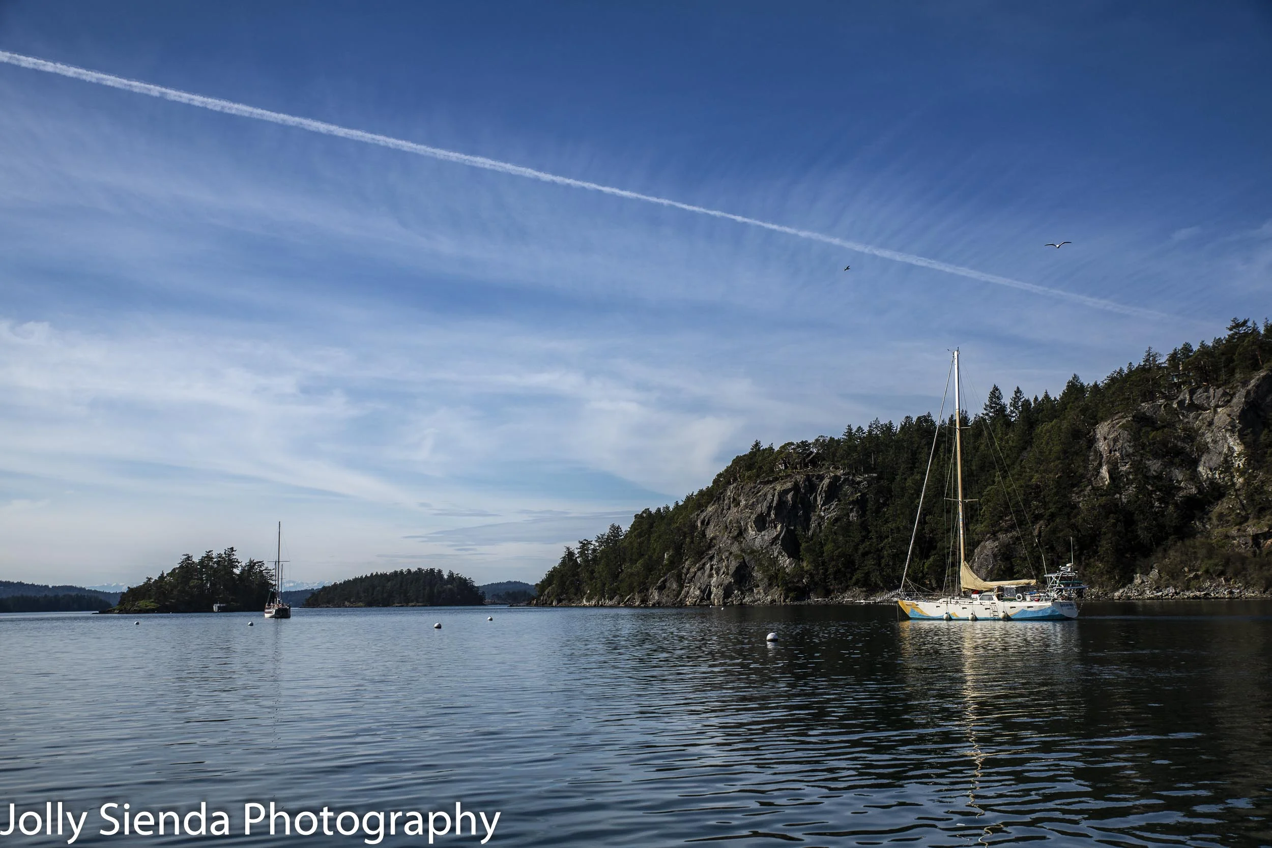 Contrails in the blue sky and sailboats at Deer Harbor.