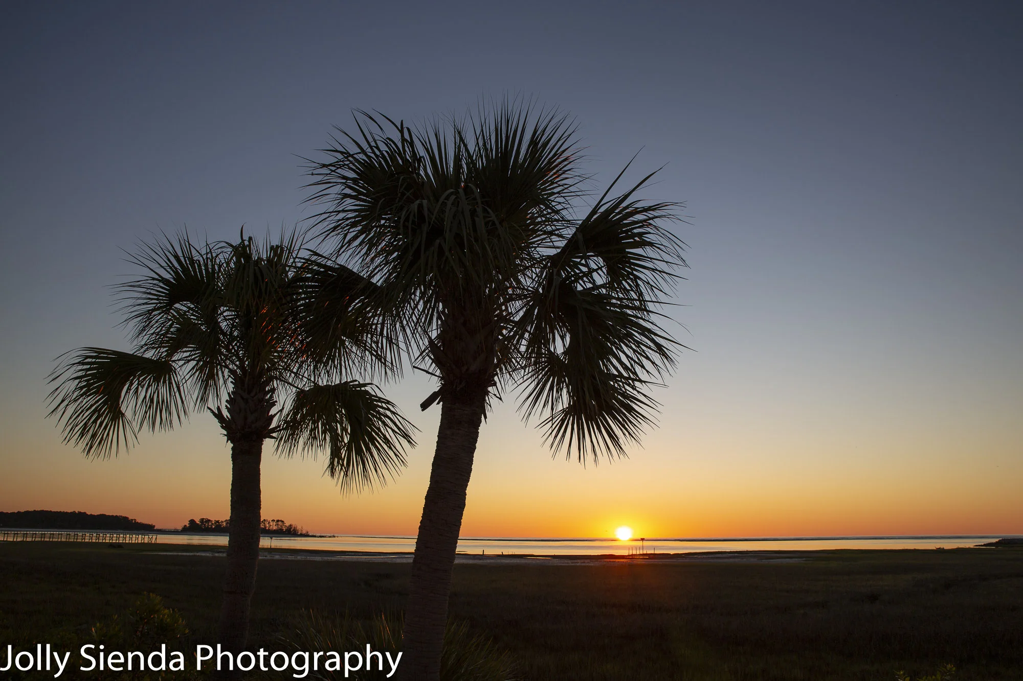 Sunrise over the marsh and palm trees at Fripp Island; a barrier island off of South Carolina