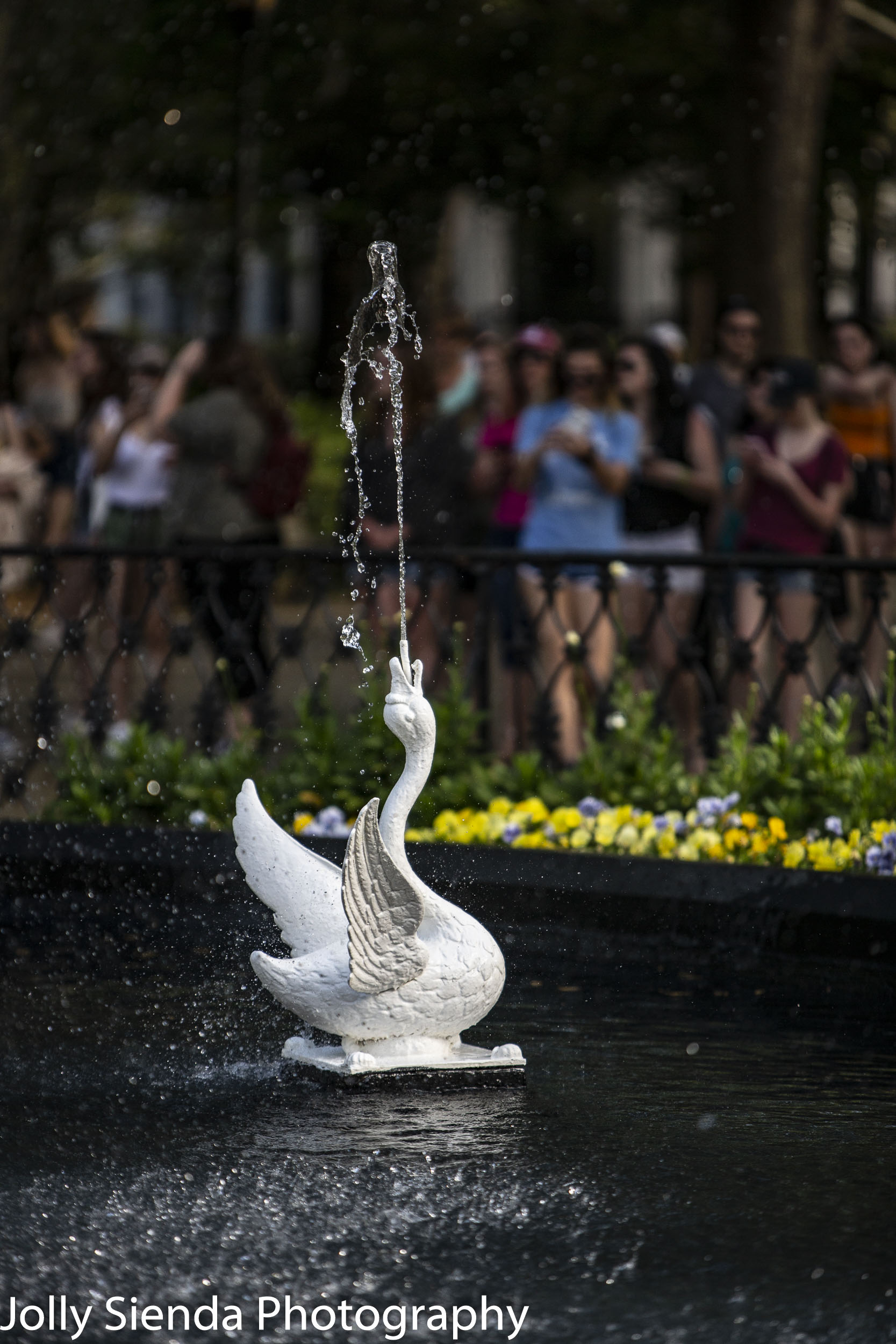 Forsyth Park Fountain