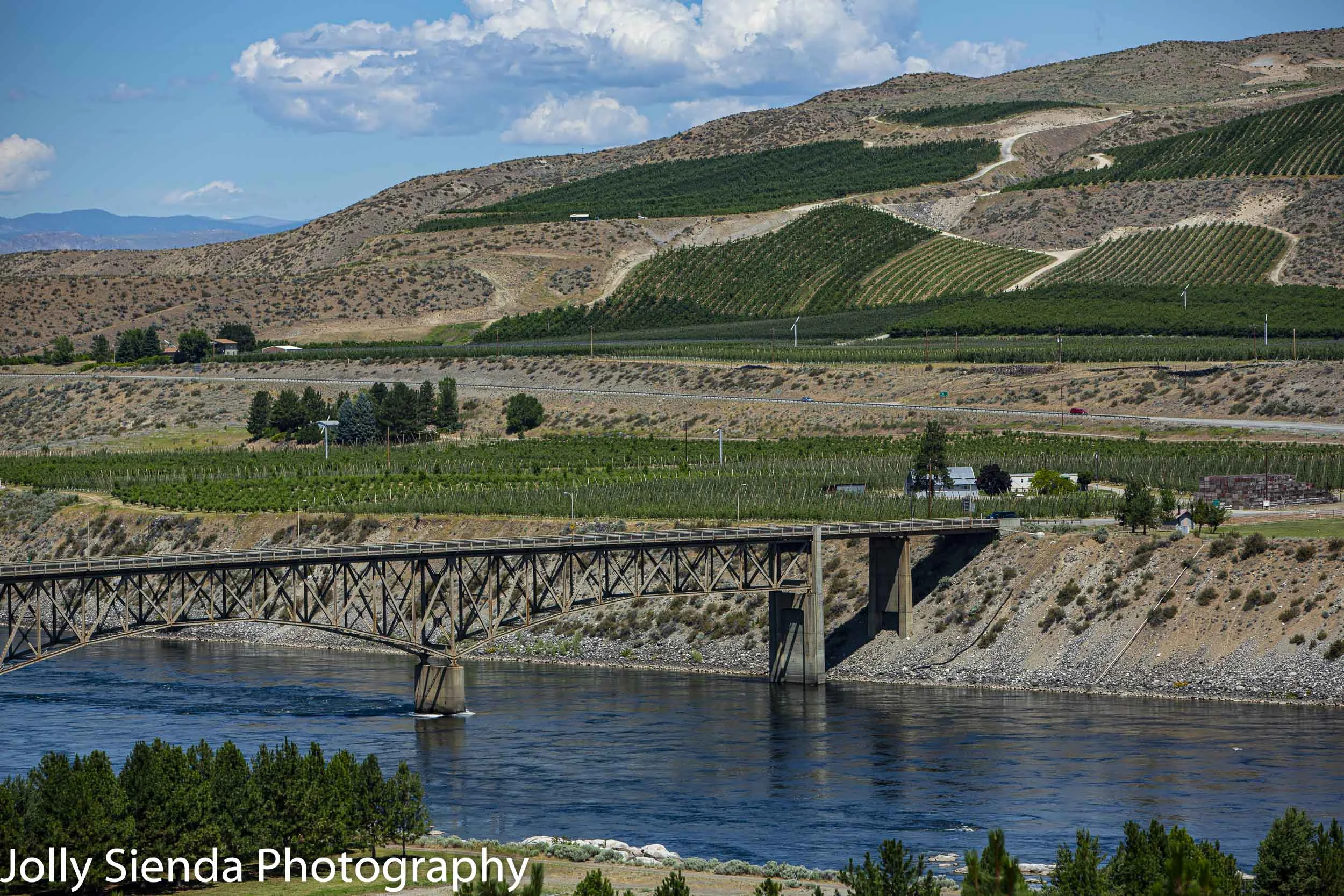 Bridgeport Bridge, orchards and vineyards near Chief Joseph Dam, WA.