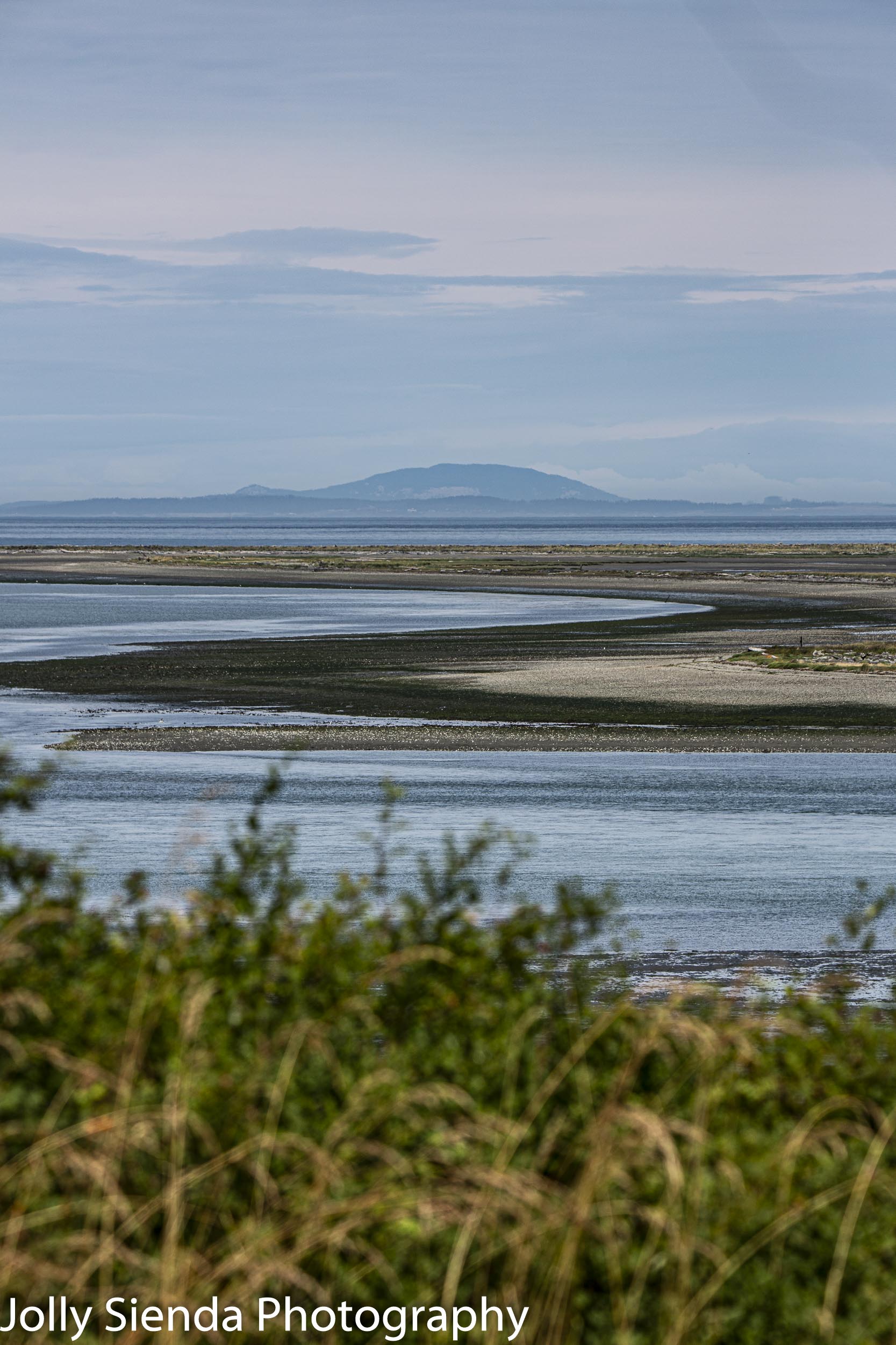 Curve of the Dungeness Spit at low tide