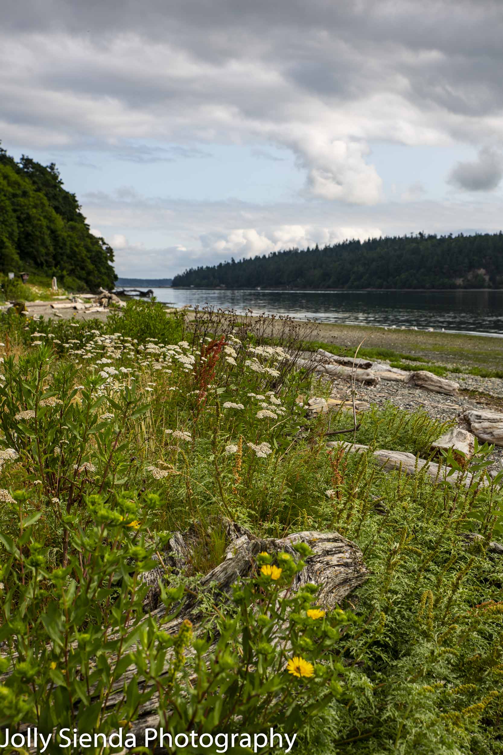 Scenic views of the coastline