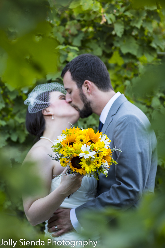 Vineyard wedding, bride and groom kiss in the sunflower vineyard