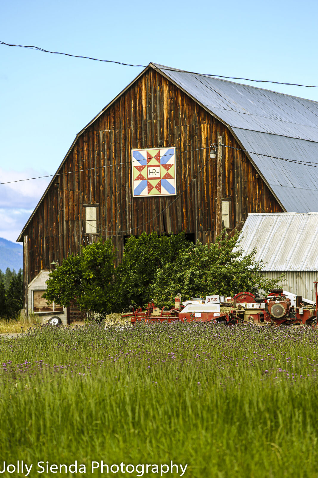 Roseburg Farm, quilt, Eight Pointed Star