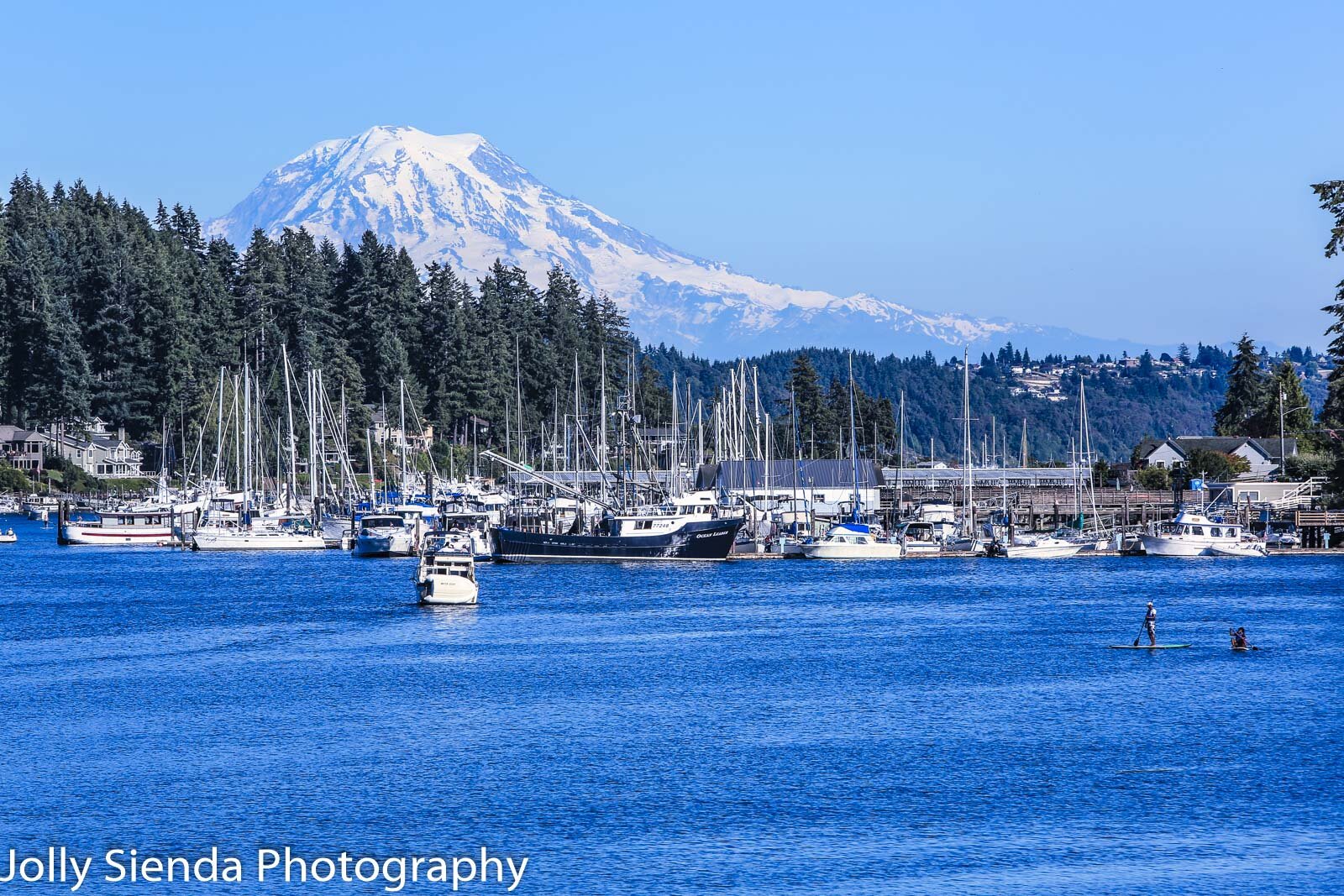 Mount Rainier looks over a boat harbor (Copy)
