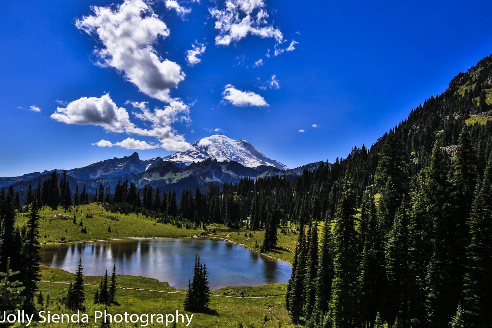 Mount Rainier, clouds, evergreen trees, lake at summertime (Copy)