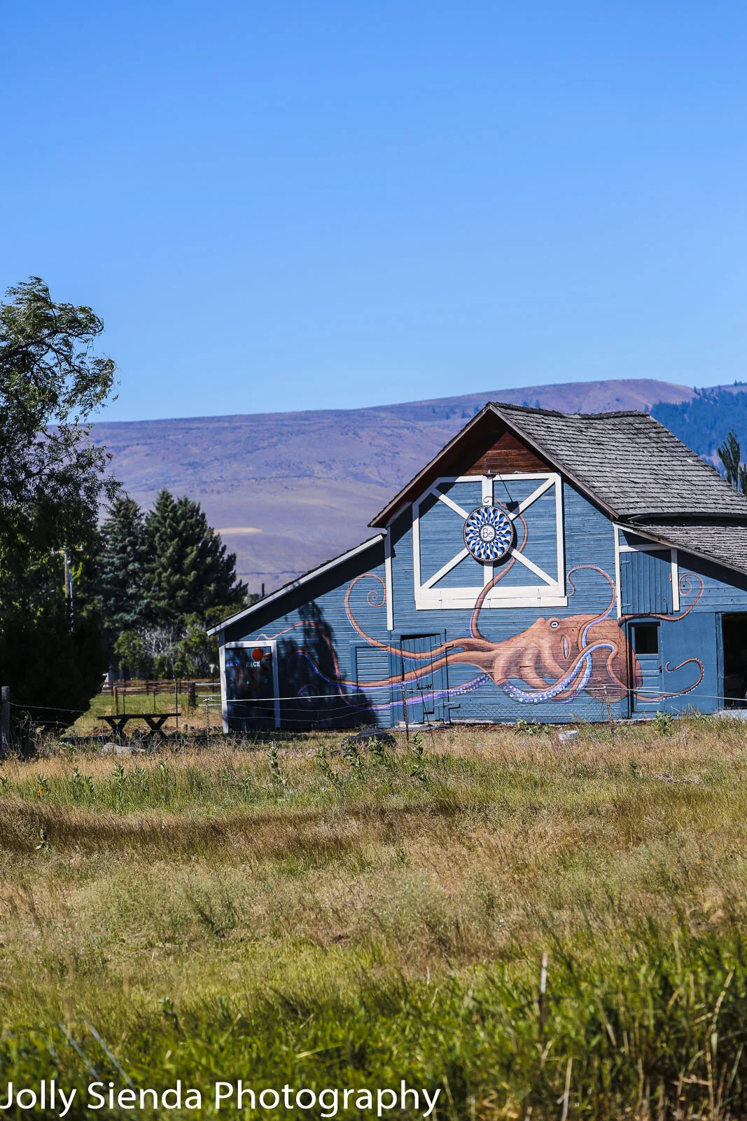 Octopus Barn and a blue quilt sun dial