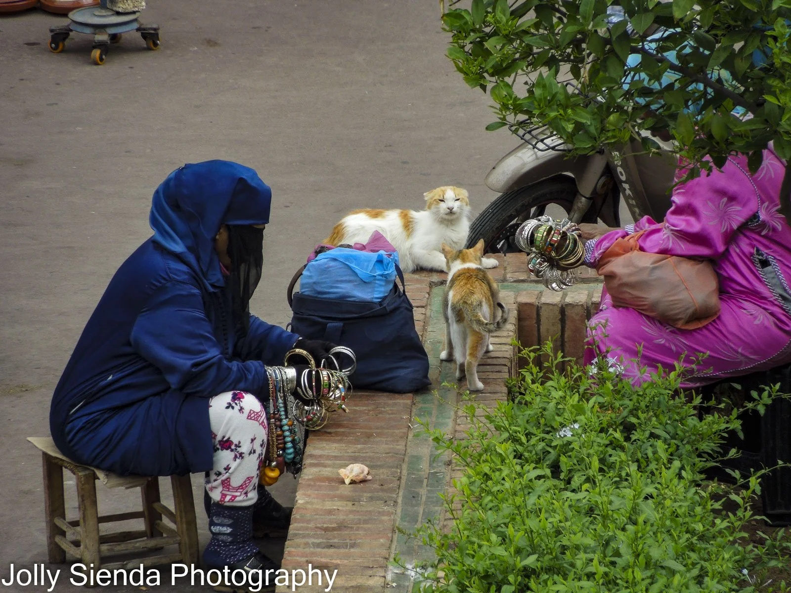 Cat fight and a veiled woman selling braclets