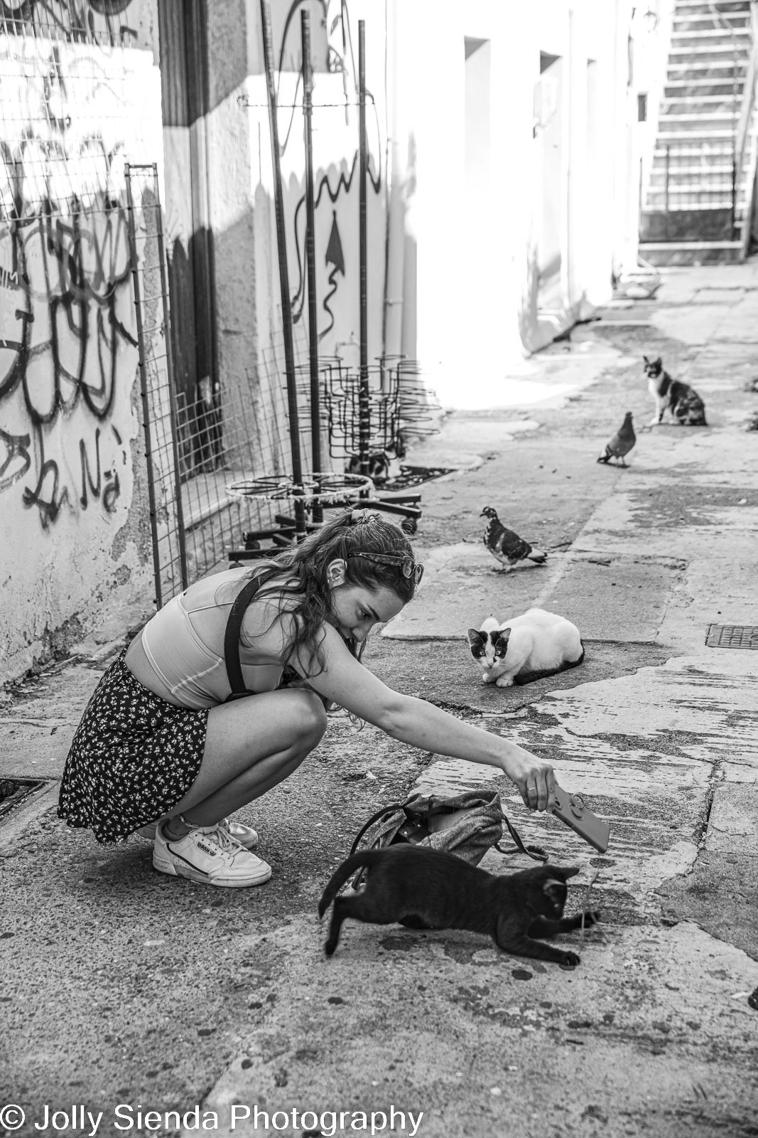 Girl playing with cats