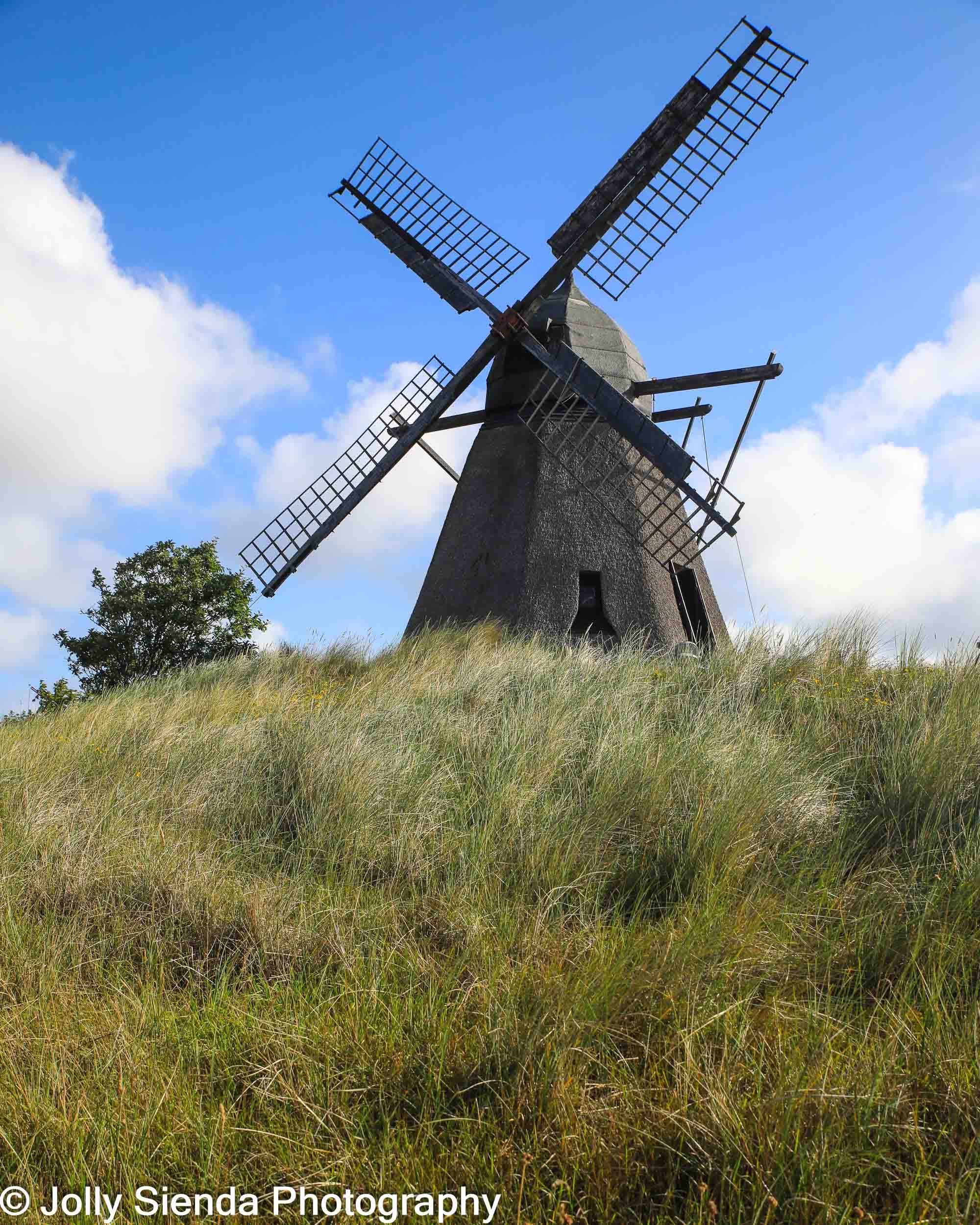 Historic windmill, grassy field and yellow wildflowers