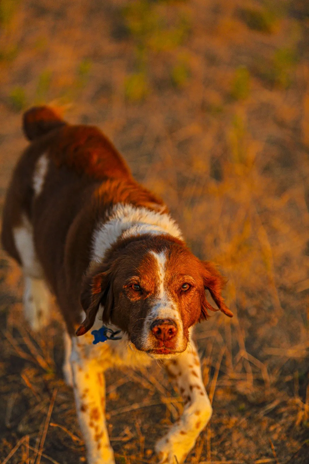 JollySiendaPhotography-0135.jpg