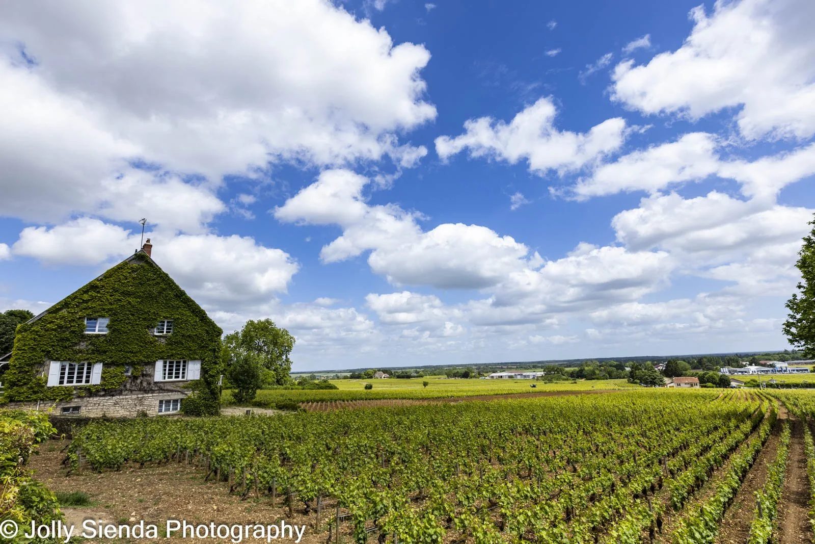 JollySiendaPhotography-9680.jpg