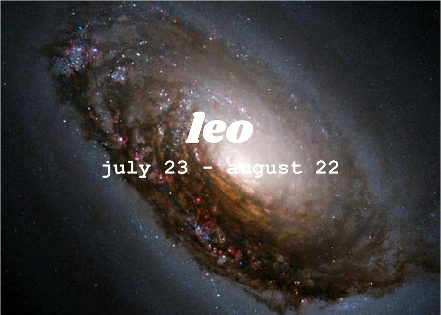 Leo Spellsisters@3x.png