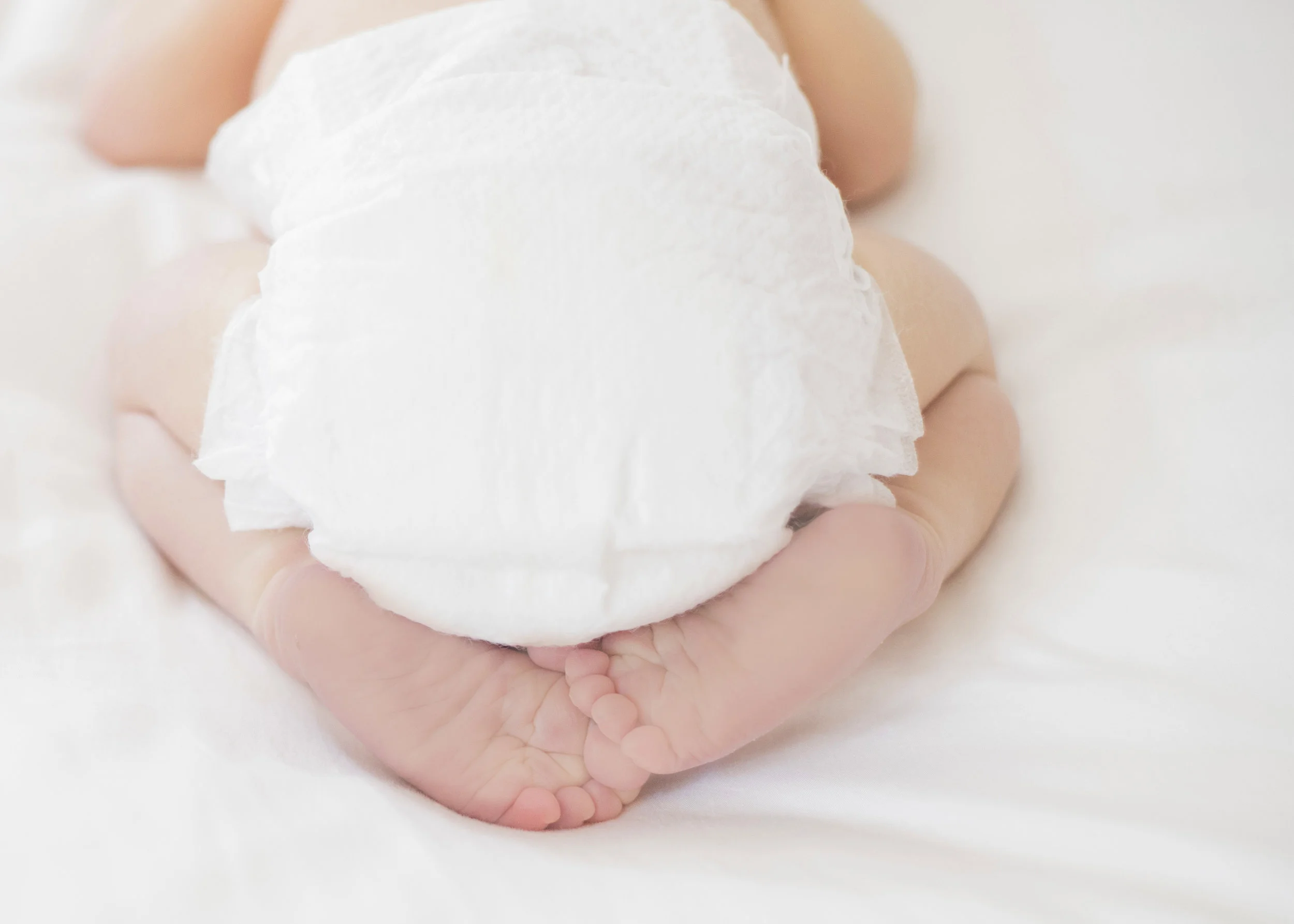 newborn family session - basic digital package