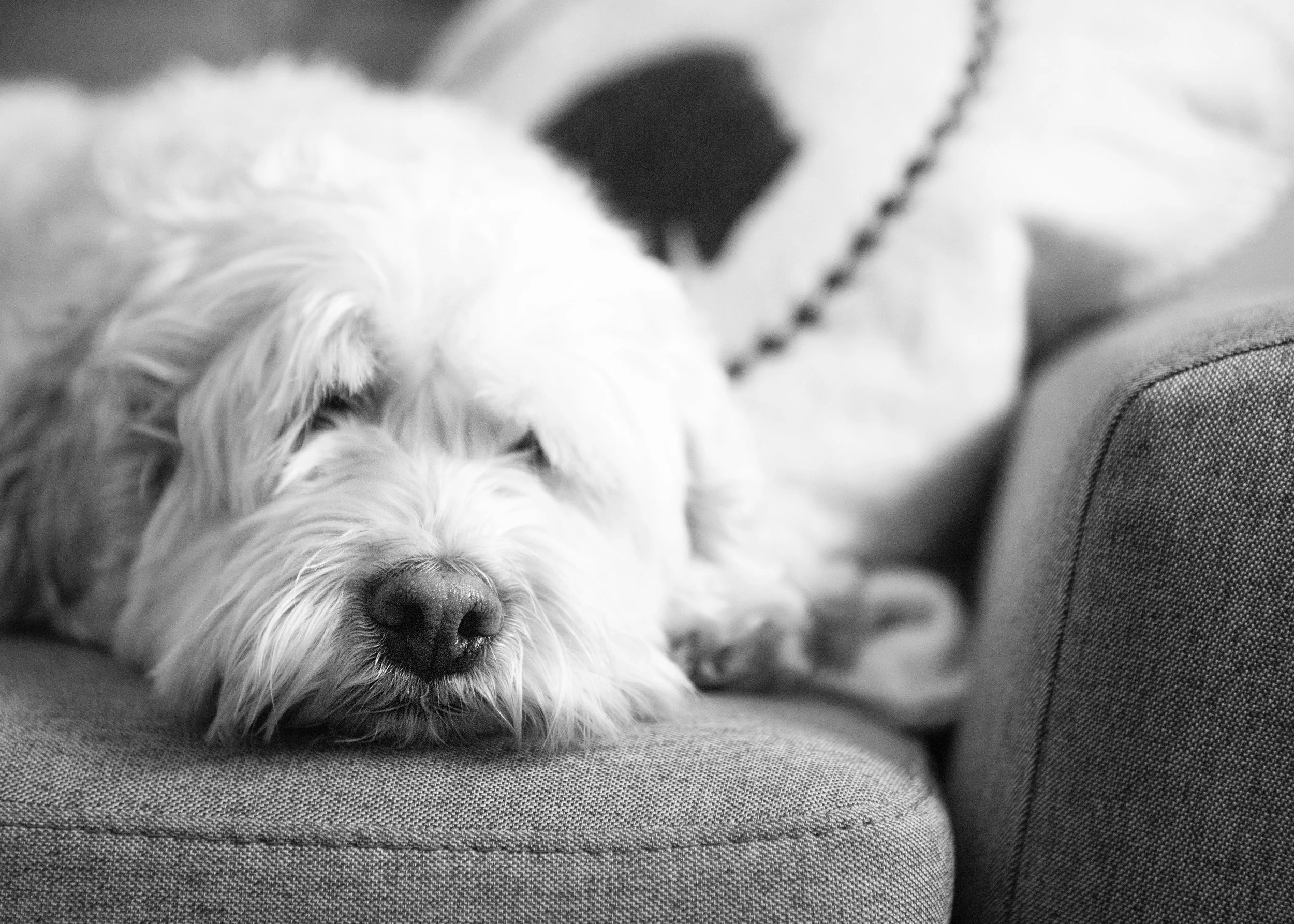 Kramer_Quinn_02042019_062.jpg