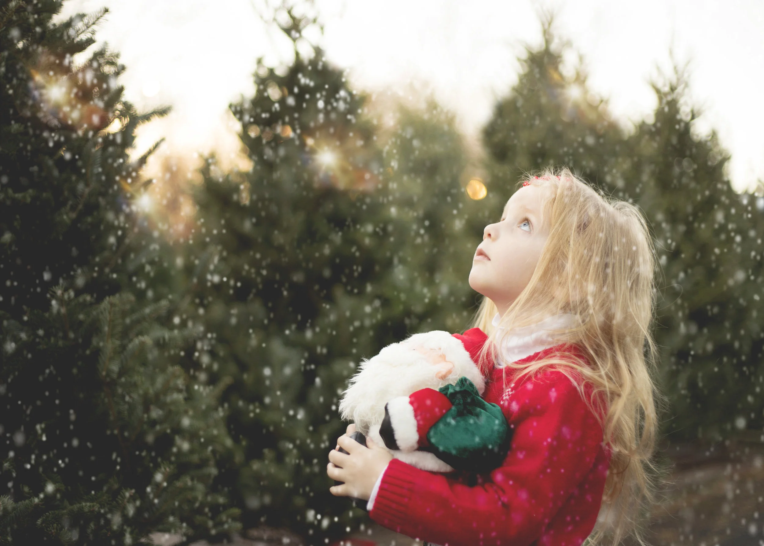 THE Christmas Card MINI Session is HERE
