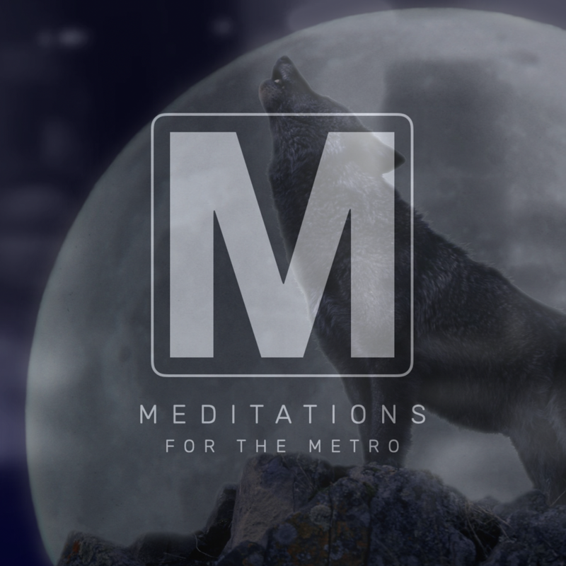 Episode 741 “Different Wolves”