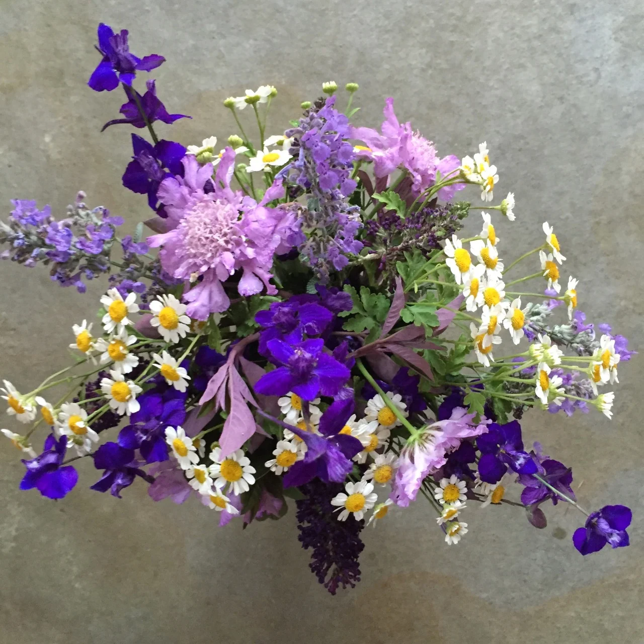 From the garden. Flowers in or near the vegetable garden attract pollinators and beneficial insects. Here, larkspur, feverfew, scabiosa, catmint and buddleia.