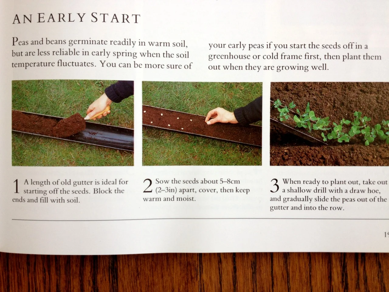 Thinking of all my eastern gardening friends who probably didn’t get their peas in by St. Patrick’s Day. The photo above is from a British kitchen garden book.