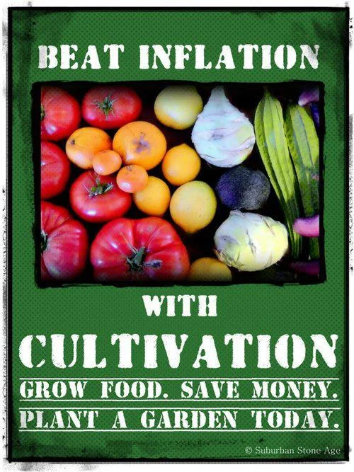 April 2, 2014
I’m beginning a series of posts on how to grow a vegetable garden.
Poster source: Suburban Stone Age