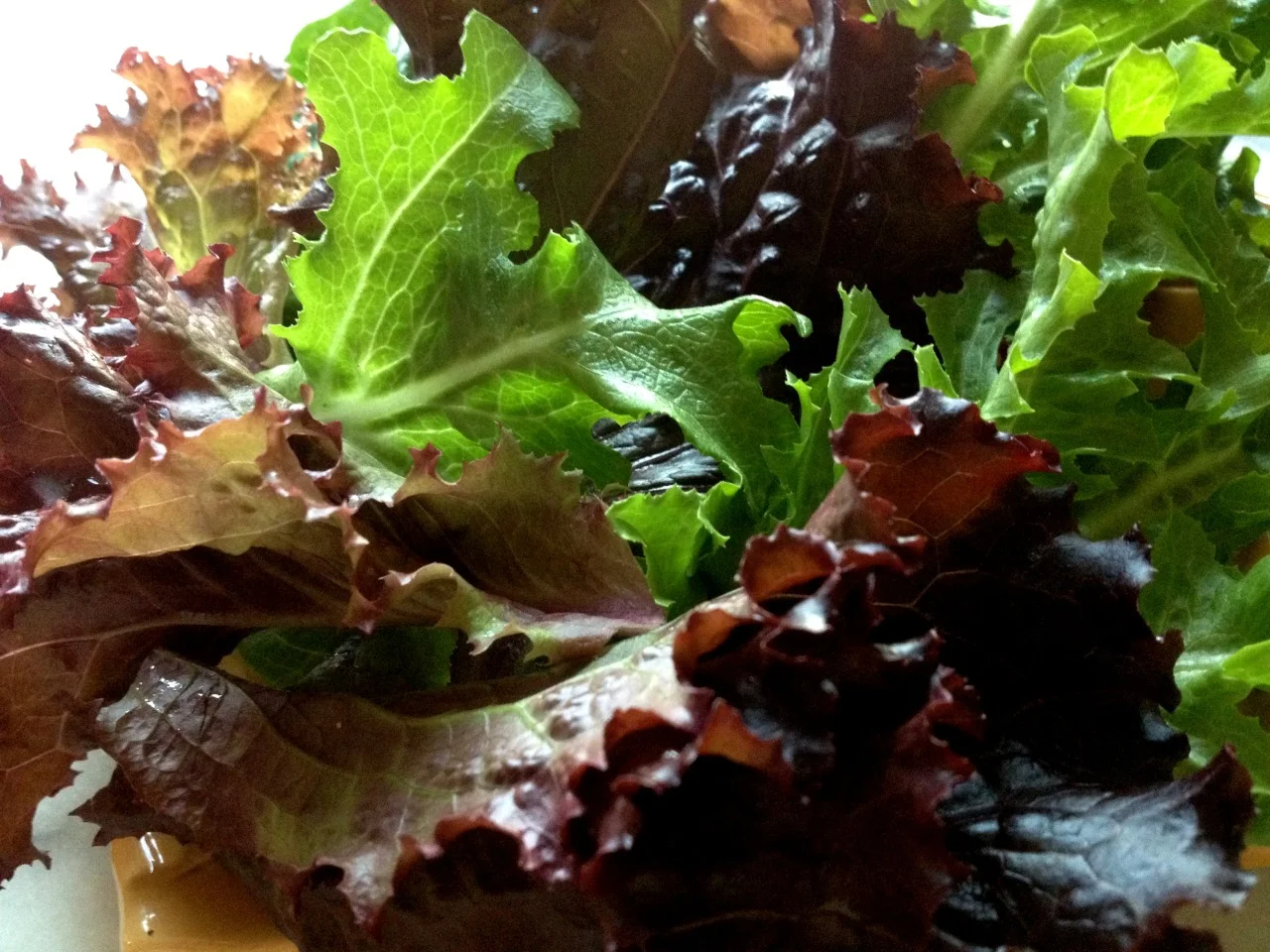 “Let things taste of what they are.”
Alice Waters in The Art of Simple Food