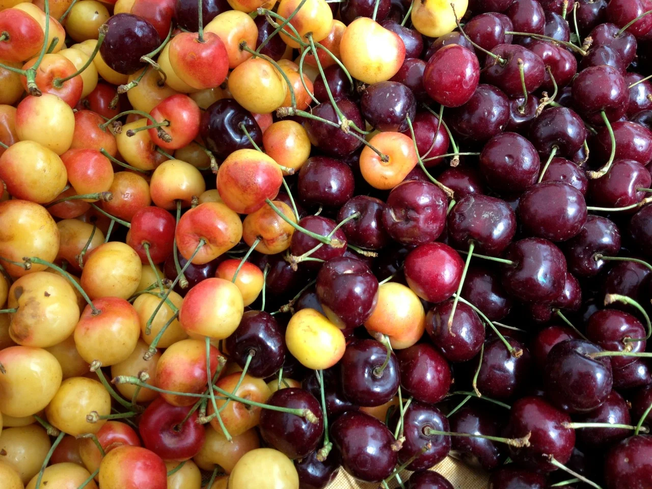 Cherries at a farmers market in Oregon, near Portland. We just ate the last handful back in San Diego.