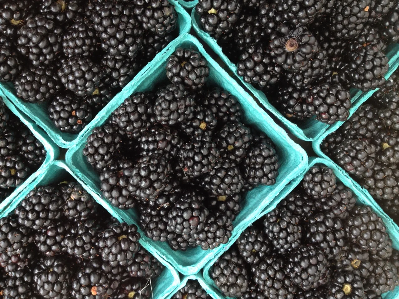 August 5, 2013
“Harvesting” at an Oregon farmers market.