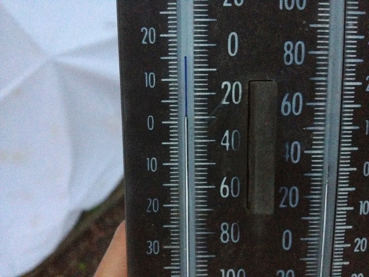 December 20, 2012
It was 30 degrees this morning at 6:30 am in my garden. We’re only two blocks from the ocean but at the bottom of a hill. The garden gathers in the cold overnight. It rarely drops below 40 degrees here at the coast.
I covered the lettuce and greens bed with a sheet since I needed about 15 cups of salad greens for a party at work today. Root crops, snow peas and broccoli all fared well as expected. Tangerine and lime trees stood vigil overnight draped in sheets and towels.
Similar cold temperatures expected tonight so I’ll be heading out shortly to water the raised beds and cover the lettuce and citrus.