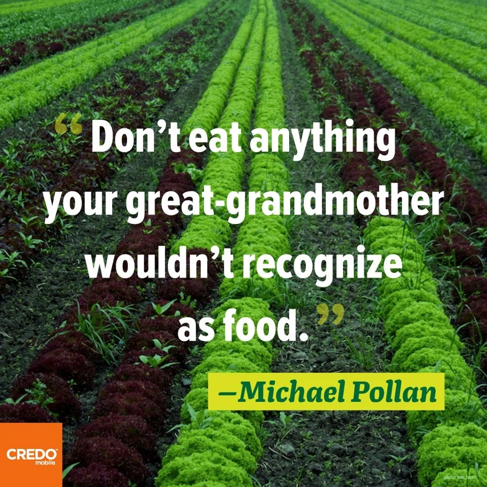 &ldquo;Imagine your great-grandmother at your side as you roll down the aisles of the supermarket&hellip;there are now thousands of foodish products in the supermarket that our ancestors simply wouldn’t recognize as food.&rdquo; &ndash;Michael Pollan