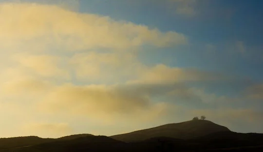 California Hills in August