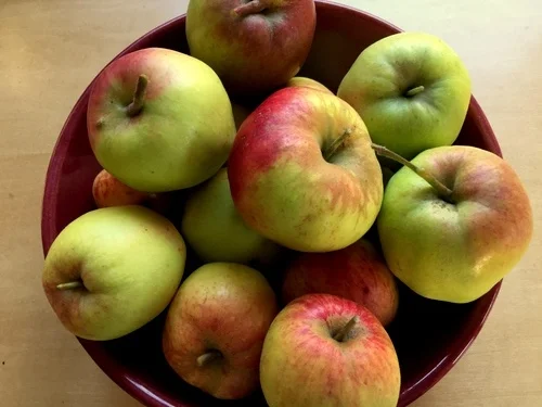 In My San Diego Garden & Kitchen 