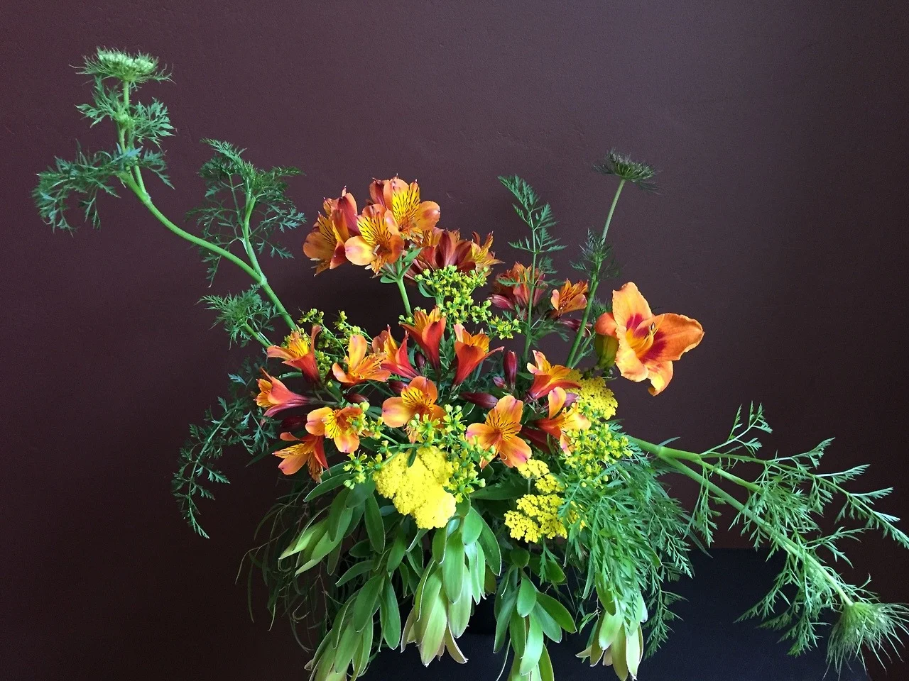 Carrot Flowers in My Bouquet