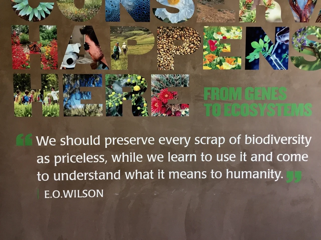 Biodiversity--Priceless