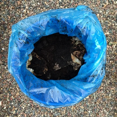 13 Really Weird Things Organic Gardeners Do That Actually Work