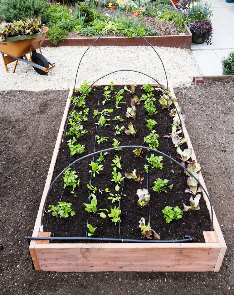 Step-by-Step: Build the Ultimate Raised Bed