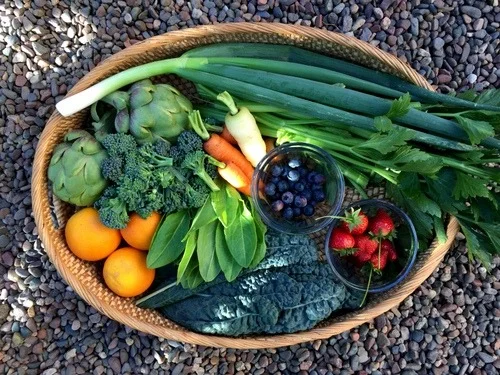 In My San Diego Garden & Kitchen 