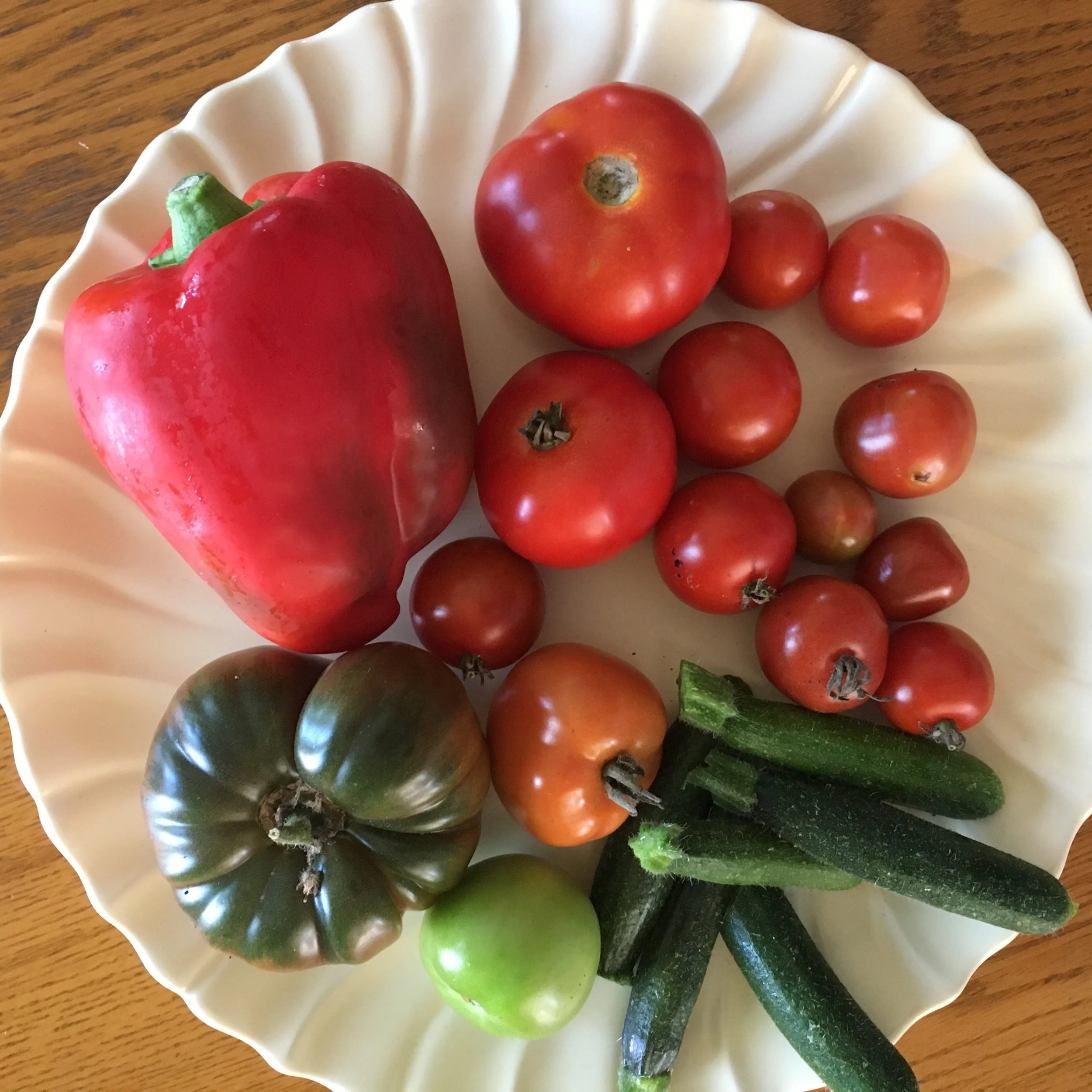 In My San Diego Garden and Kitchen