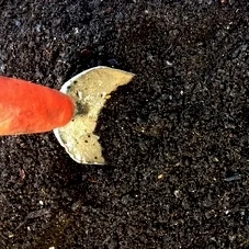Garden Hacks: Composting with Coffee Grounds