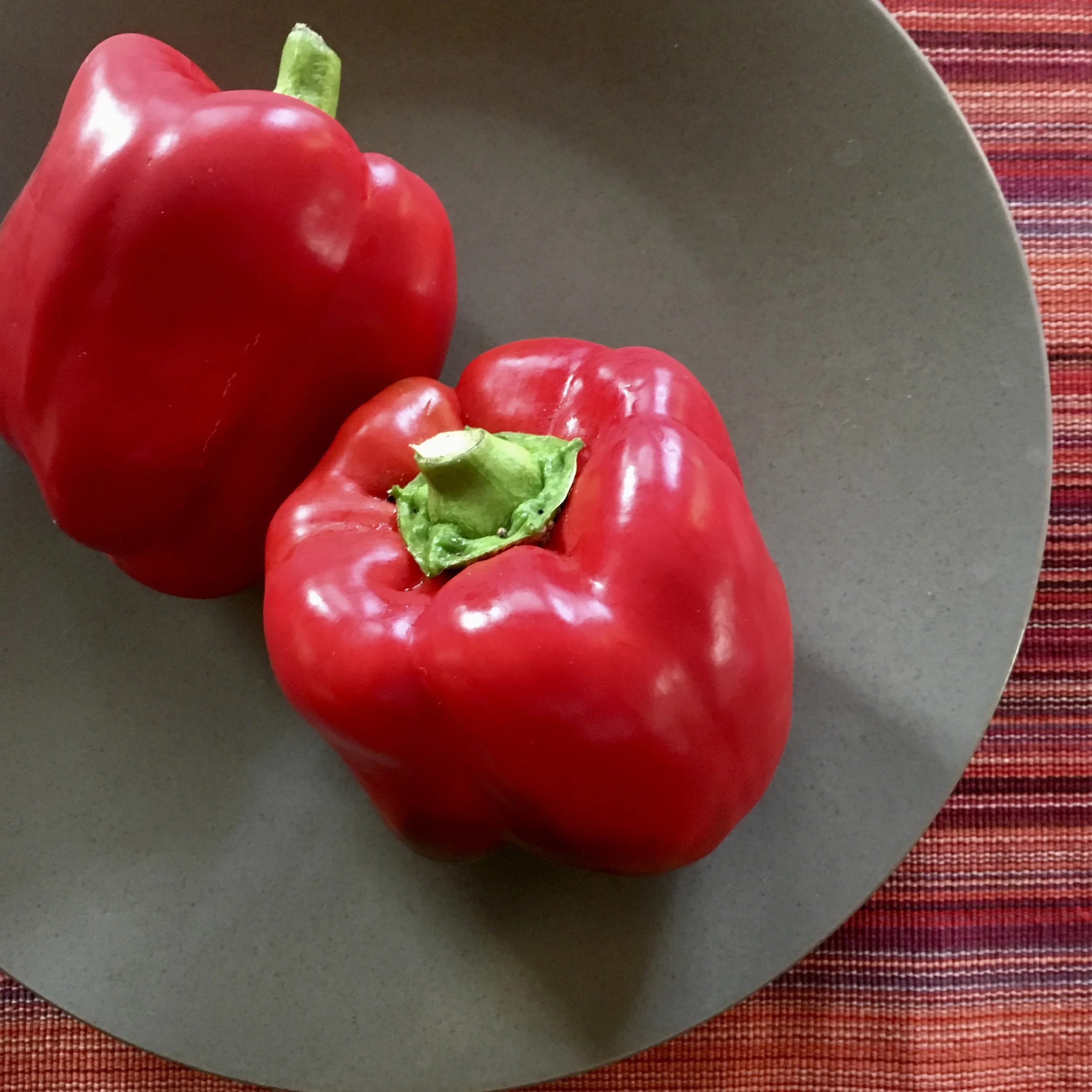 In My San Diego Garden and Kitchen