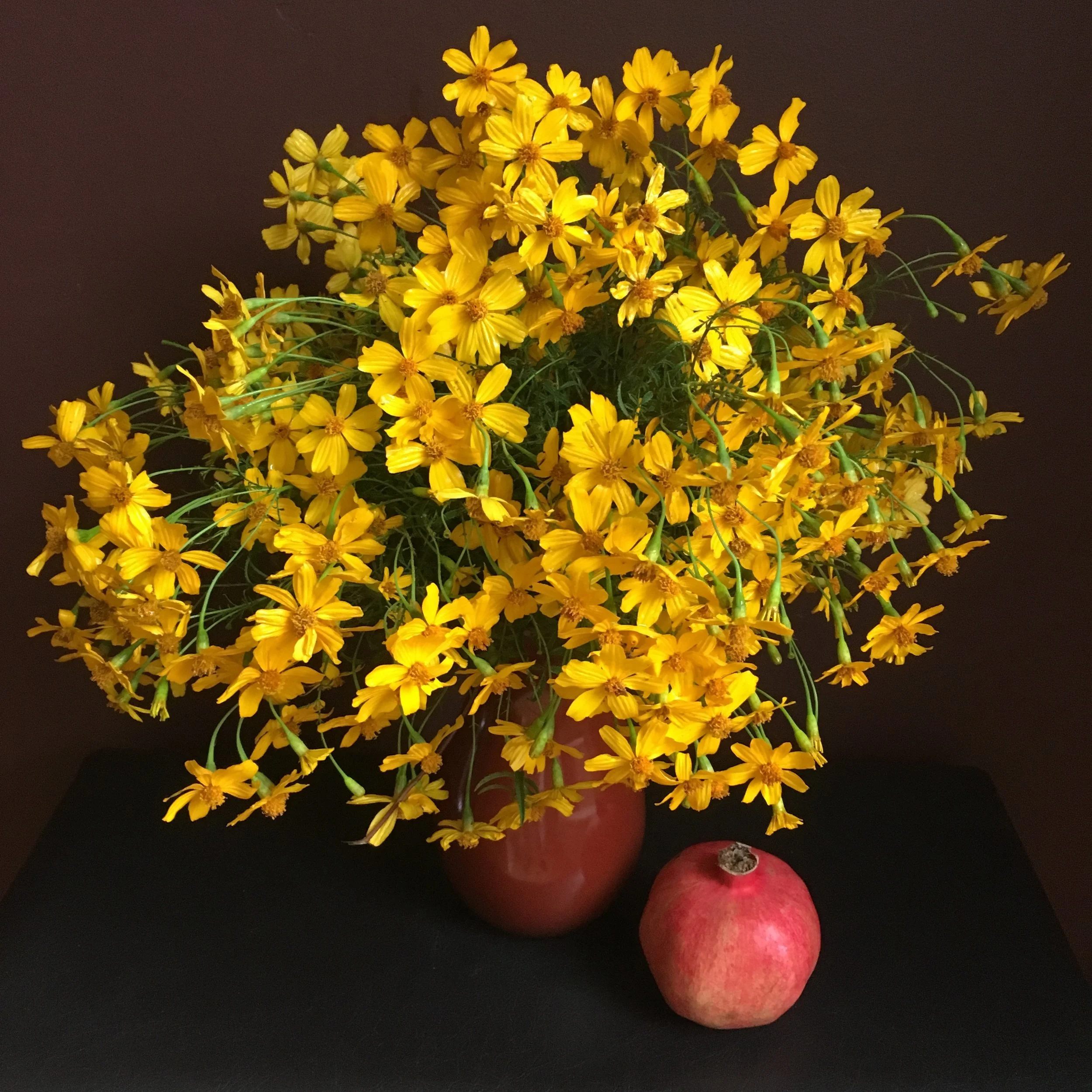 In My San Diego Garden and Kitchen