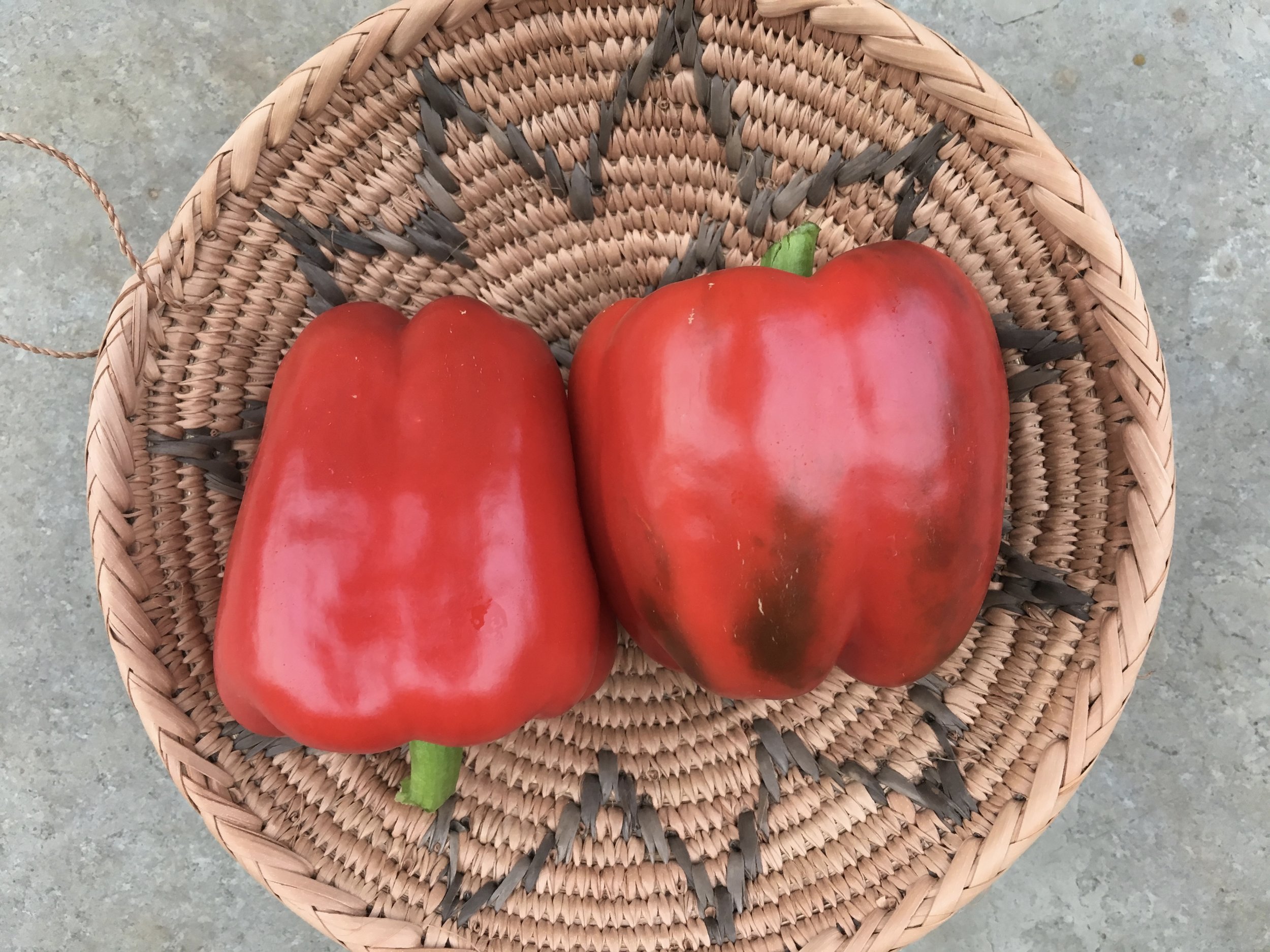 ‘Red Beauty’ red peppers.