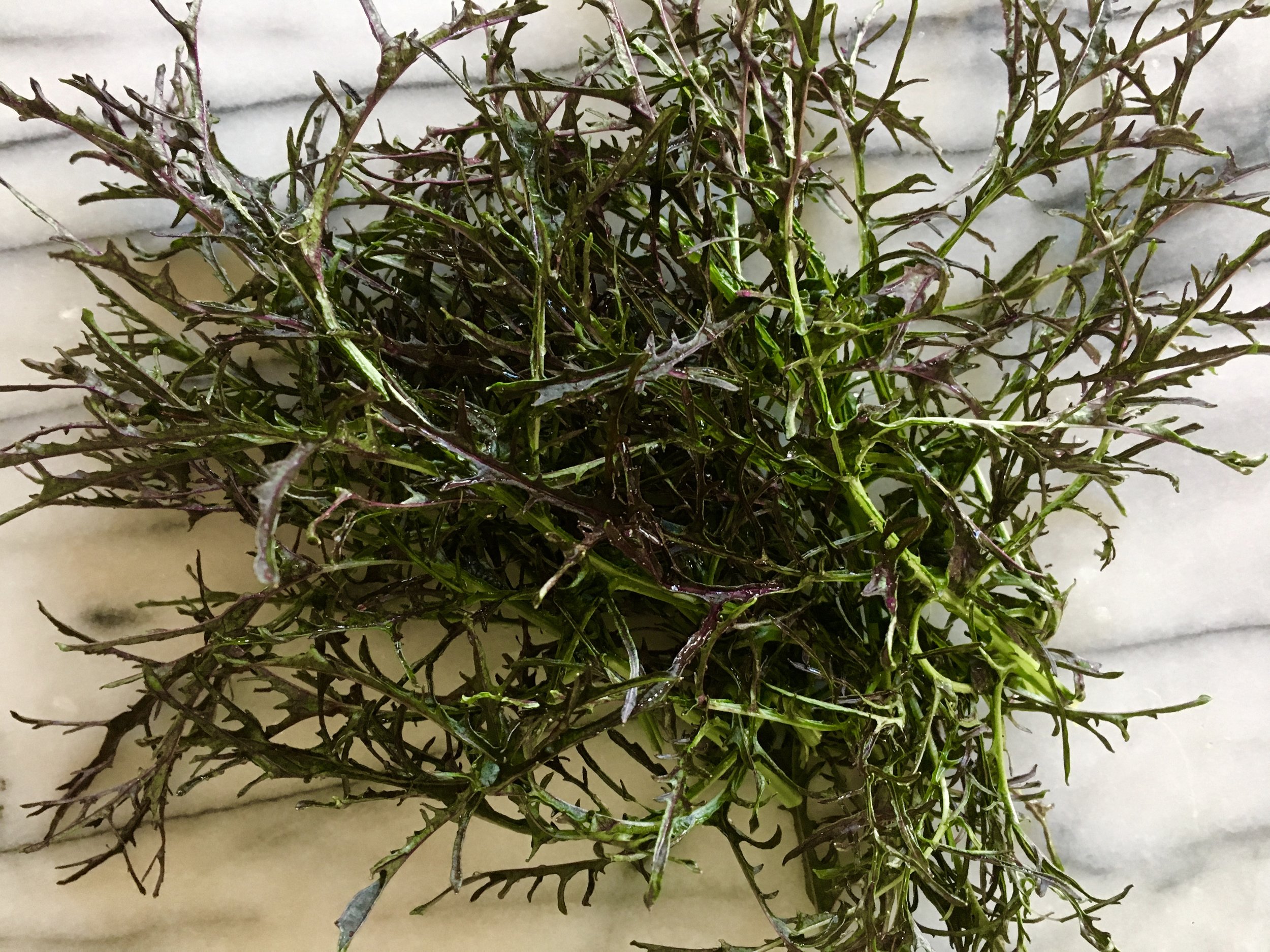 ‘Ruby Streaks’ mustard greens
