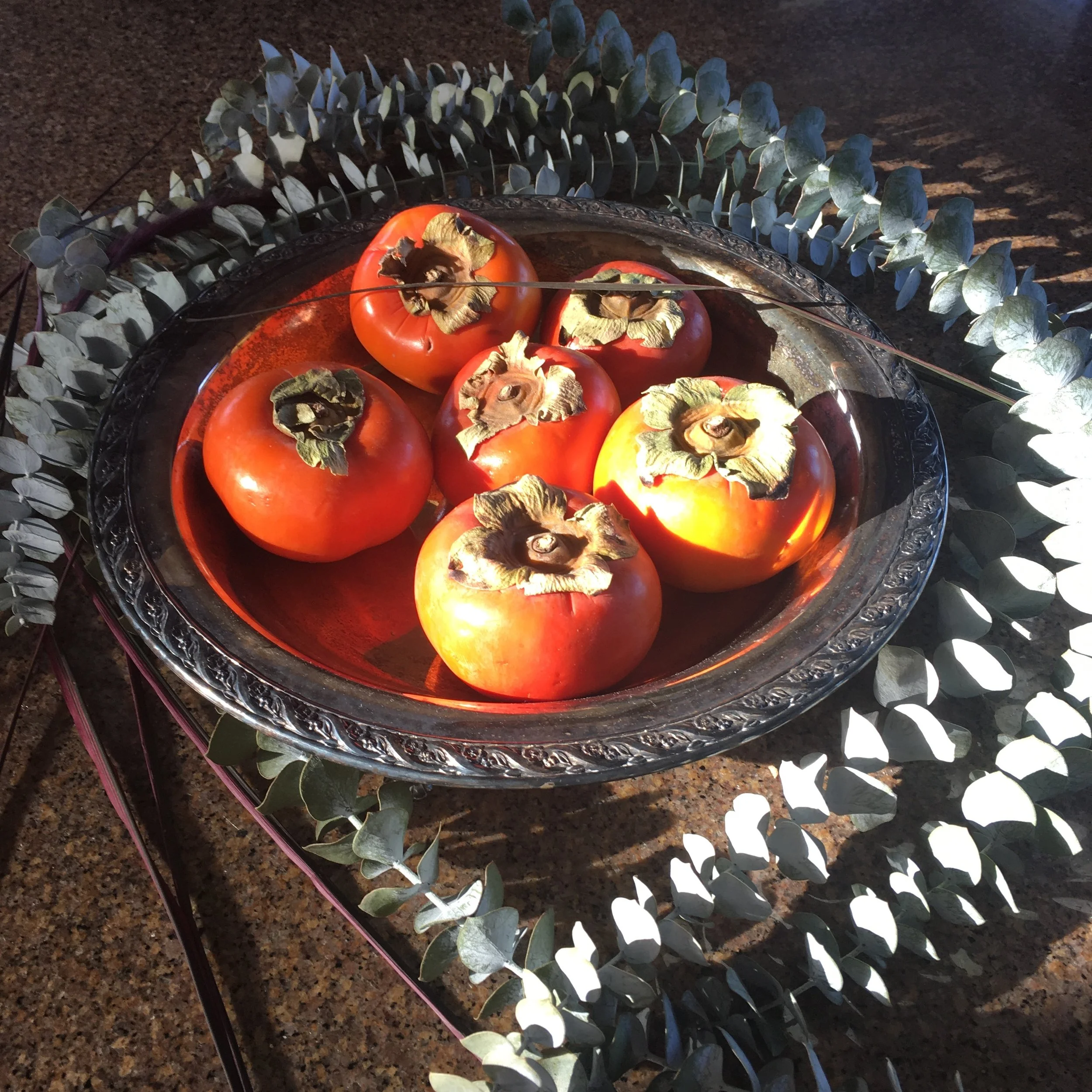 Thanksgiving Remnants in Morning Light