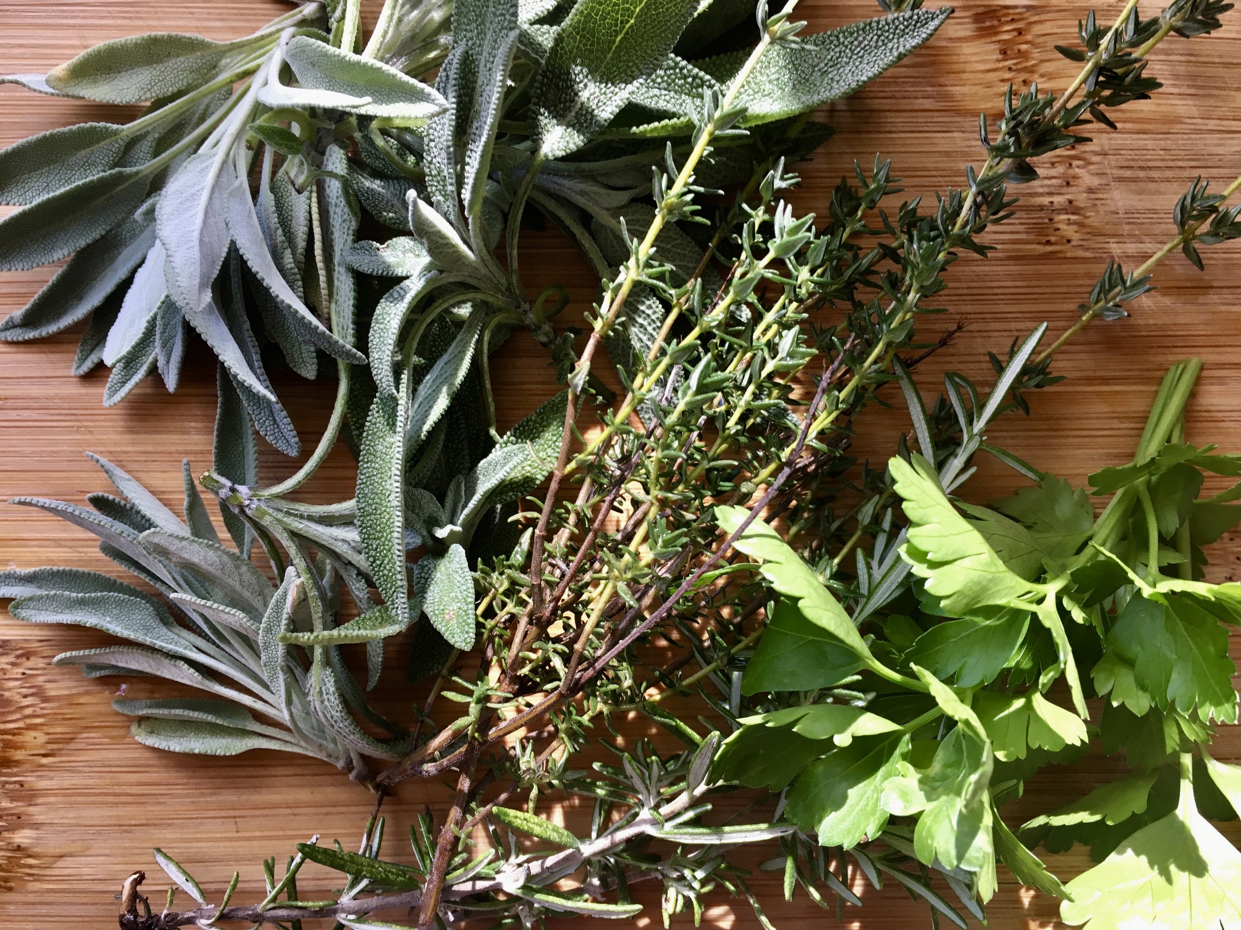 Sage, thyme, rosemary and parsley from the garden