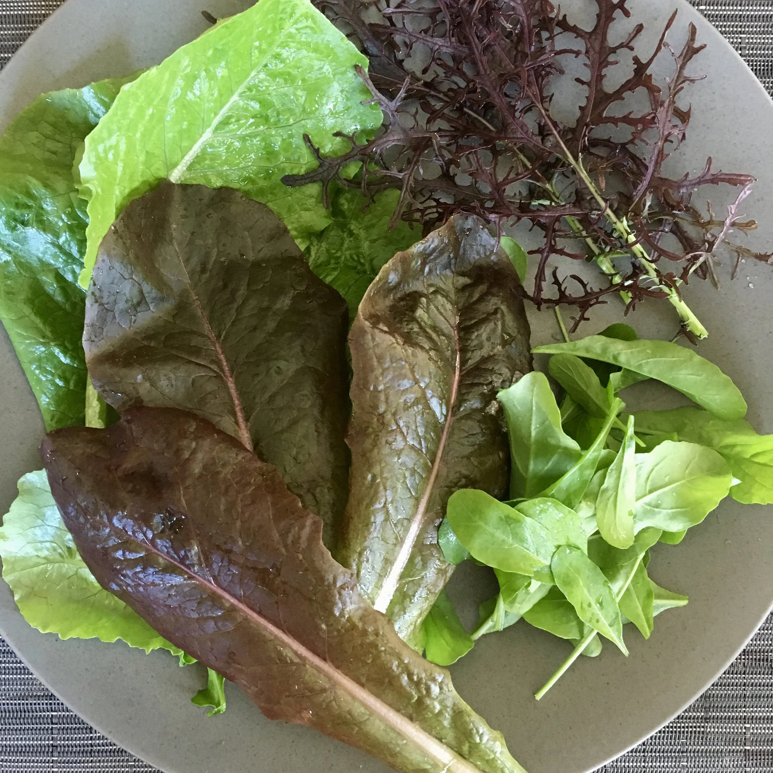 In My San Diego Garden and Kitchen