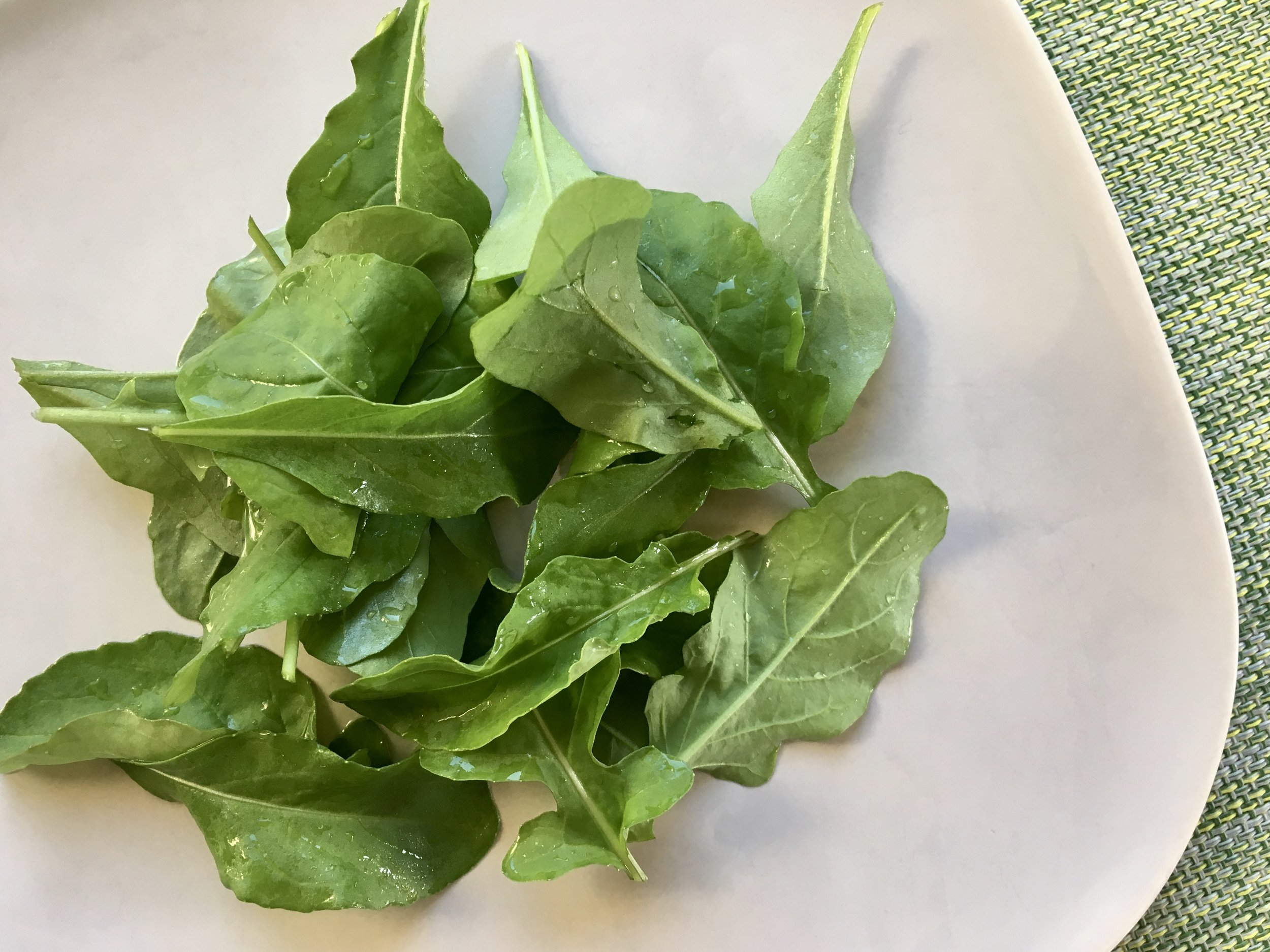 First of the ‘Rocket’ arugula.