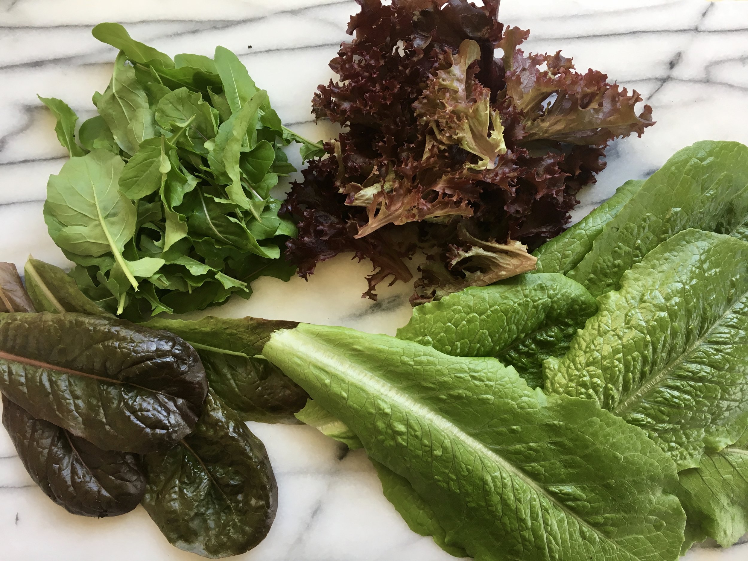 Arugula, ‘Lolla Rossa’ lettuce, green and red romaine lettuce.